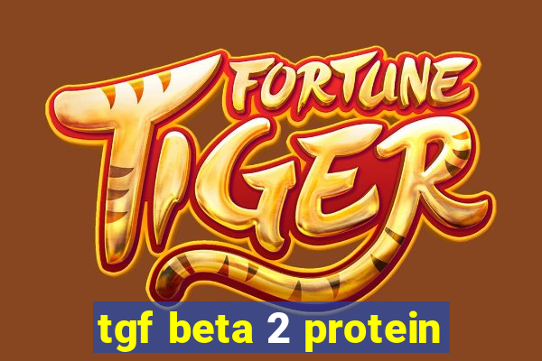 tgf beta 2 protein